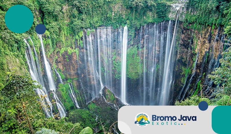 bromo and bali tour package-package07